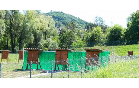 Pose des filets à 30m, lundi 27 Juillet 2020