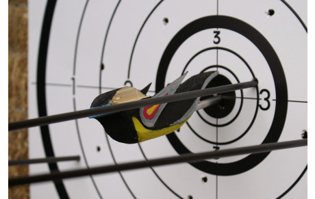 Tir du Roy 2021 et Reprise de l'école de tir